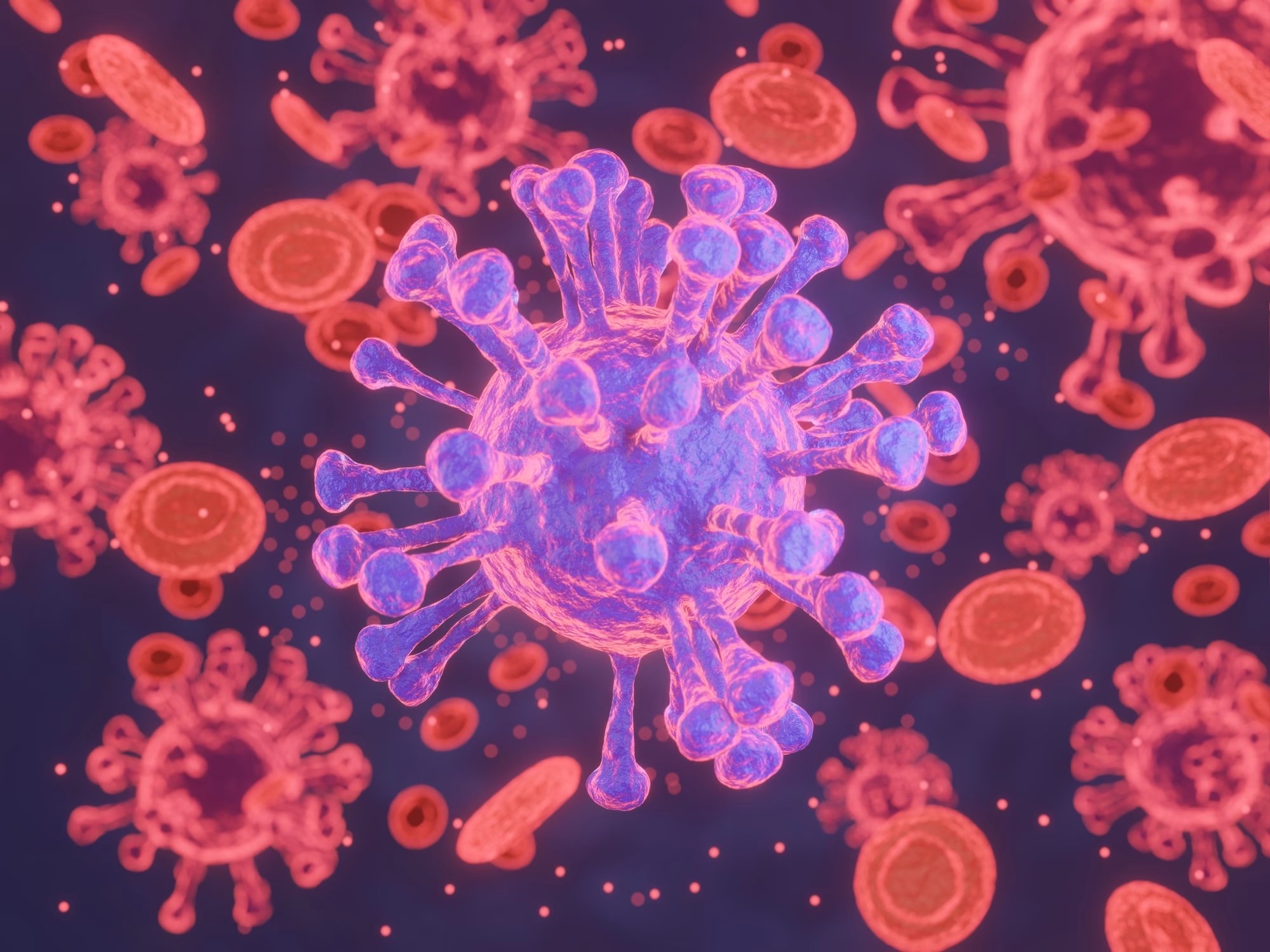hantavirus